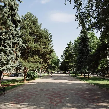 Dill 公寓 苏博蒂察