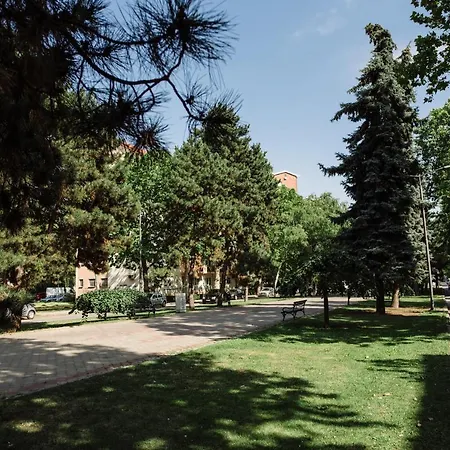 Dill * Subotica