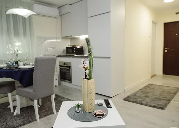 Dill * Суботица